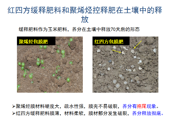 糖心VLOG网站进入缓释肥释放肥效展示