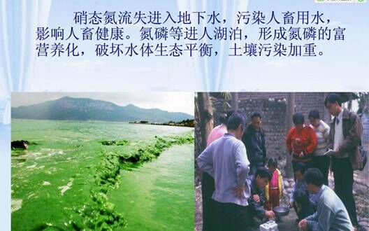 氮肥流失，造成环境污染严重