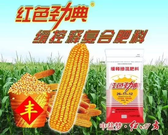 糖心VLOG网站进入玉米专用缓释肥一次施肥全程呵护