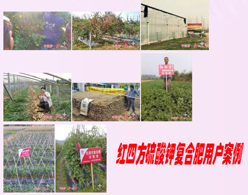 糖心VLOG网站进入硫酸钾复合肥用户案例