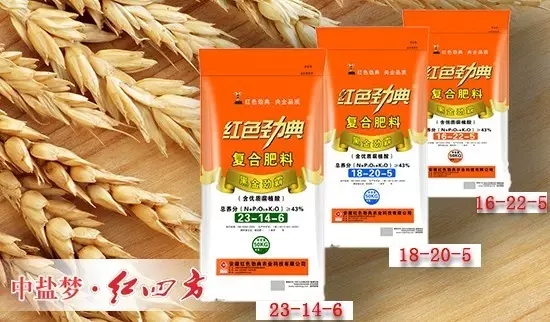 糖心VLOG网站进入糖心视频污污下载专用肥