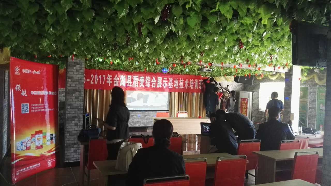 糖心VLOG网站进入复合肥品牌亮相金湖地区举办稻麦综合综合展示基地培训会