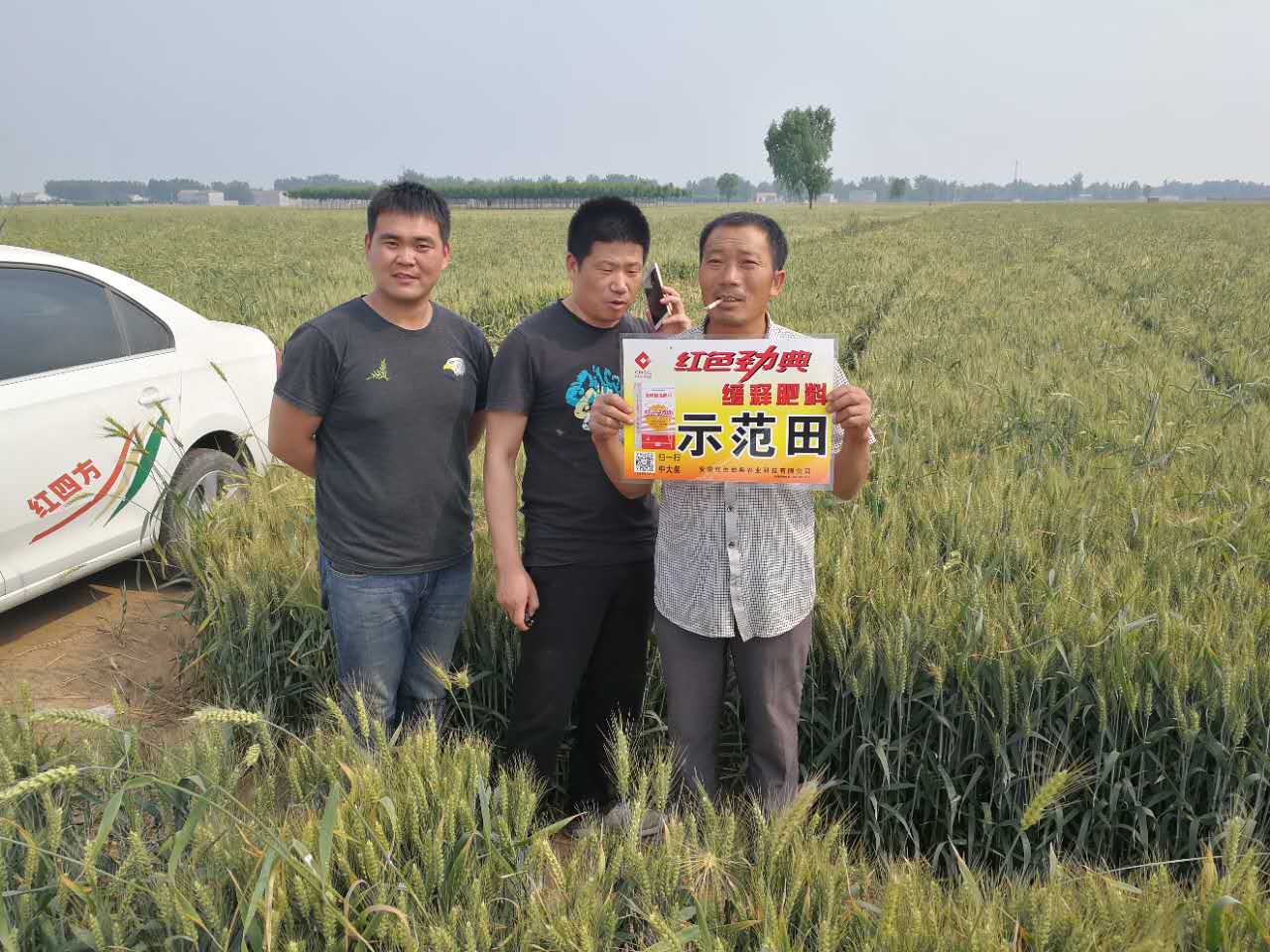 糖心视频污污下载施用糖心VLOG网站进入缓释肥，效果好！