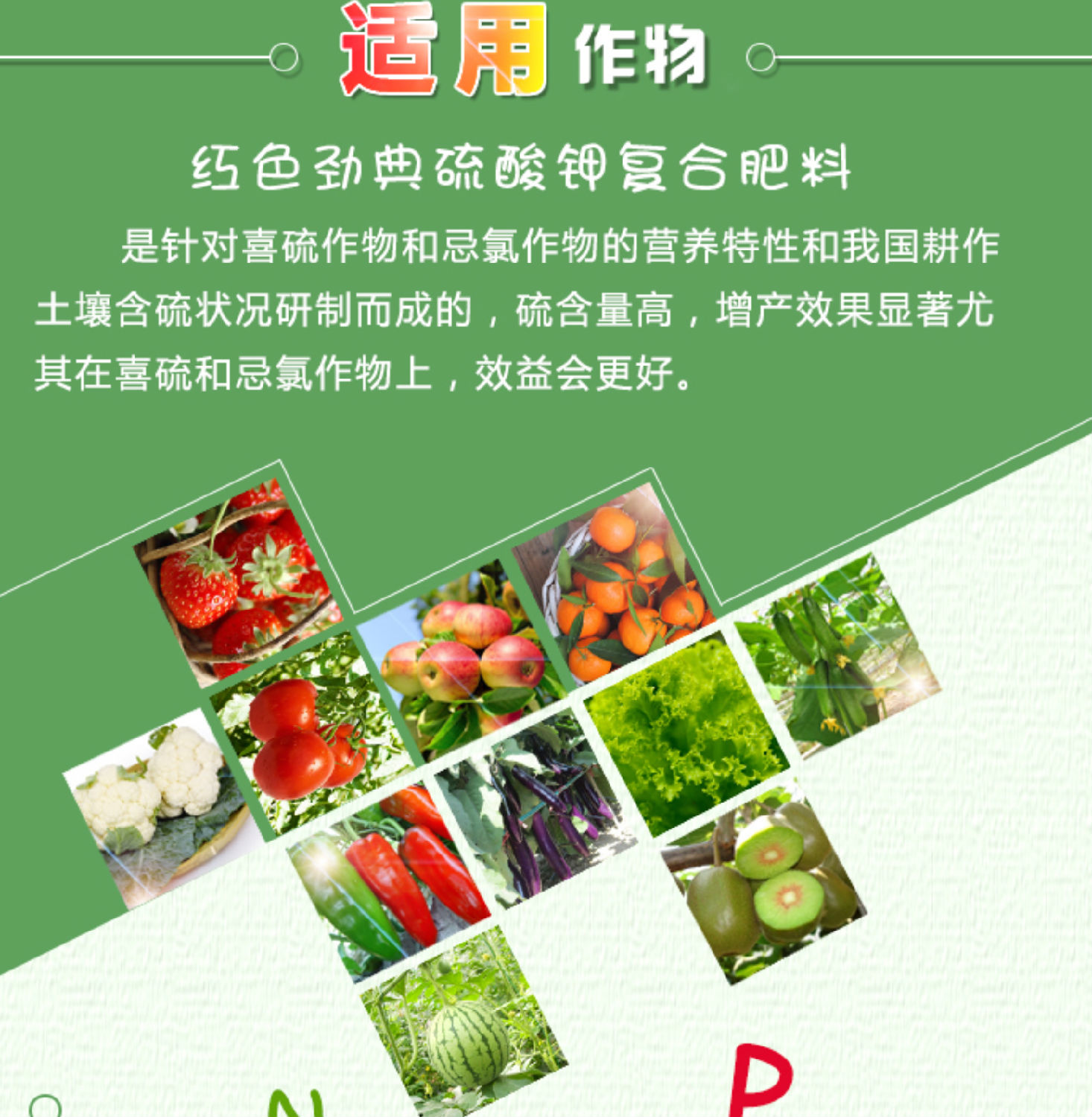 糖心VLOG网站进入22.png