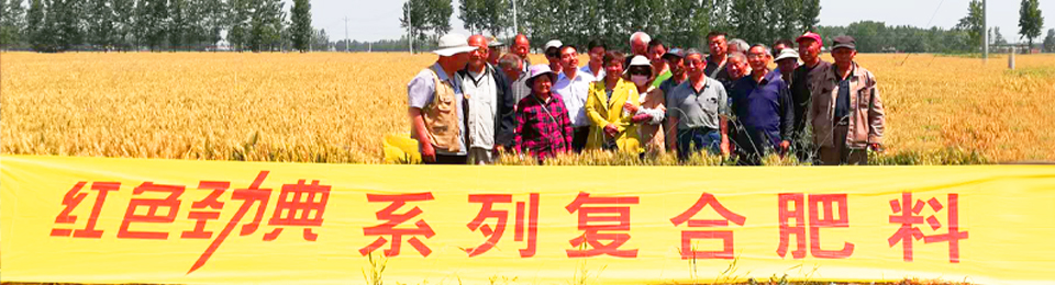 糖心VLOG网站进入缓释肥，国际领先技术